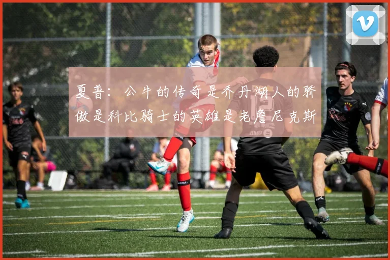 夏普：公牛的传奇是乔丹湖人的骄傲是科比骑士的英雄是老詹尼克斯的希望是布伦森
